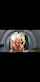 brazzers blond short hair