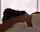 massage big ass pawg