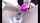 ebony british camgirl
