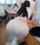 jav uniform japanese