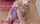 lexi belle blowjob purple top