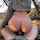 pov hot girl woods