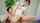 jav japanese massage