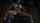 anime cgi anal