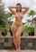 fat sexy model