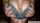 titfuck hot sexy