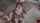 cumshot hot small tits