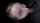 dark hair gloryhole throatpie