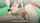 hentai masturbation sex