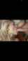 blowjob blonde uncut