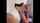 camgirl amateur girlfriend