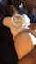 interracial doggy bbc