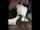 bbc threesome spitroast