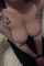big tits tattoo amateur