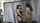 lesbian domination mistress