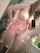 amateur model pussy