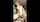 camgirl webcam dildo