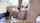 big tits bangbros porn ad