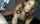 amateur straight threesome