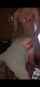 teens black homemade