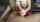 camgirl pornhub fake tits