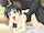 hentai horse dog