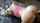 amateur doggystyle girlfriend