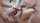 cuminmouth cumshot blowjob