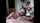 amateur dick kiss brunette