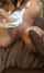 interracial blowjob bbc
