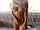 blond teen camgirl