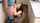 jav japanese hot