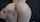 amateur teen creampie