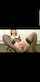 camgirl amateur redhead