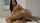 sex sexy fuck
