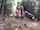 strip public hairy