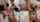 camgirl skinny teen