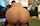 big ass big butt anal