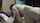 milf cheating wife big boobs