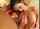 handjob cumshot straight