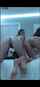 camgirl blonde brunette