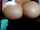 latina lactation tits