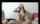 camgirl brunette tan
