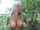 public nature boobs