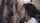 brunette amateur blowjob