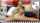 camgirl latina cam