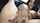camgirl cosplay masturbation