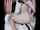 camgirl asian japanese chinese