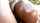 ebony big butt oiled