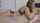 effy and aria nose lick seductive studio